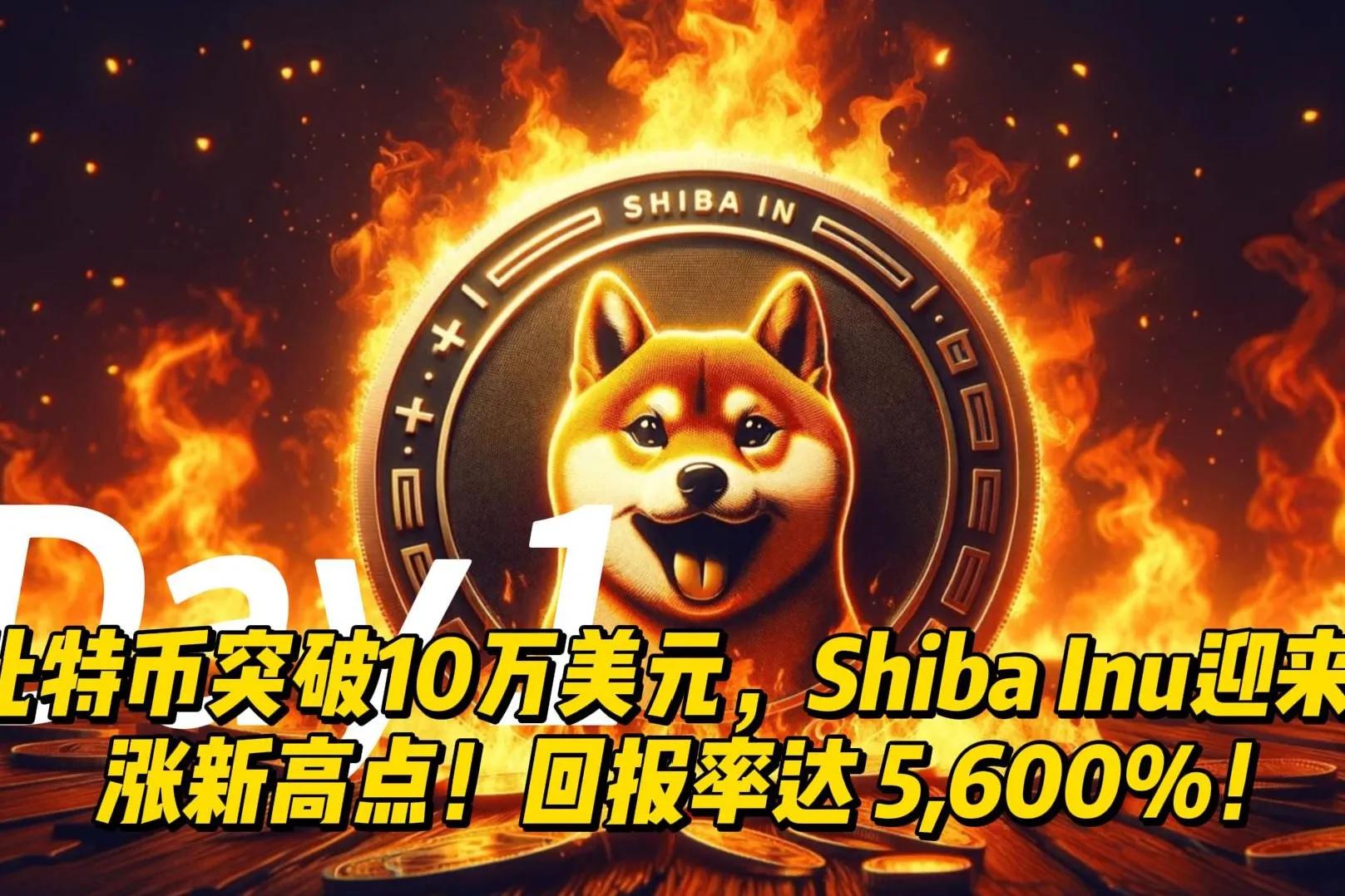 货币数字化是什么意思_了解数字货币市场的基本面分析_货币数字概念股有哪些