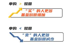 基金份额变动解析：如何通过份额和金额维度评估基金表现与市场认可度