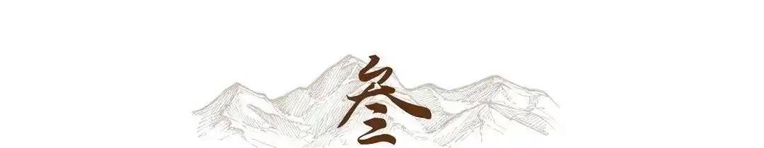 中兴在新兴市场的表现与挑战_中兴战略分析_新中兴公司发展