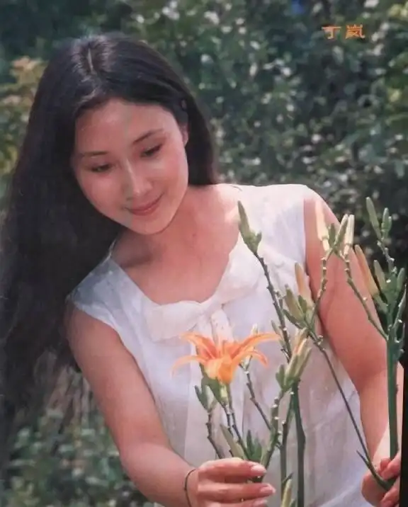 演李连杰对手的演员_李连杰对手经典演员合作的电影_李连杰的经典对手与合作演员