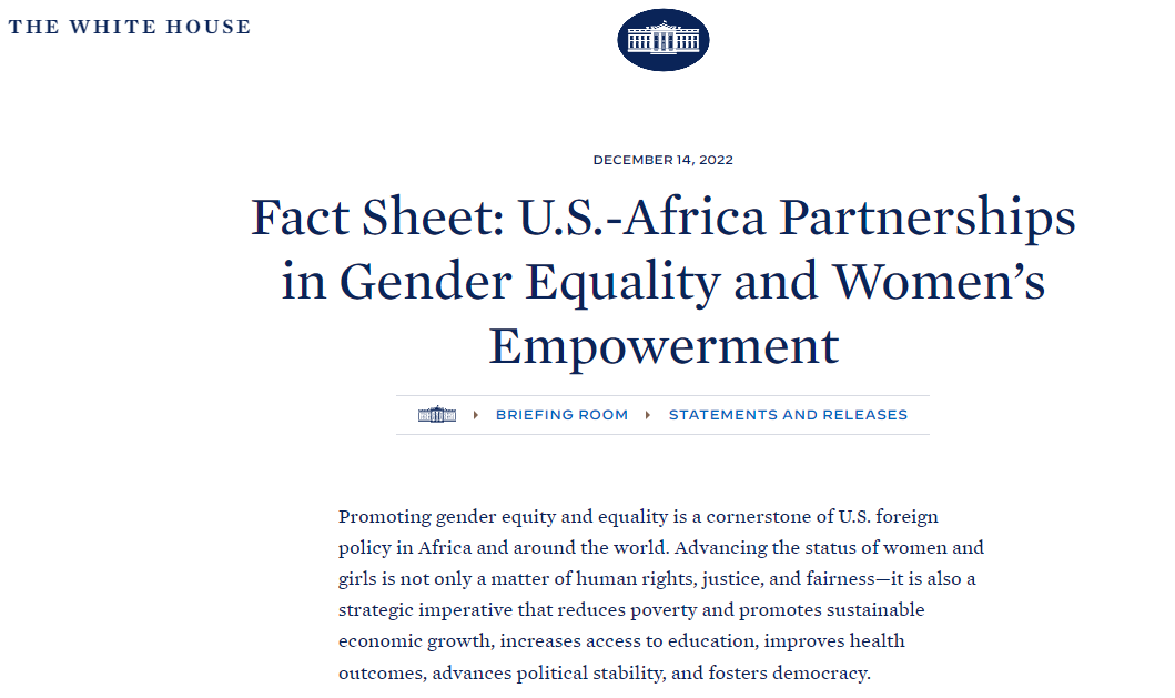 美国对肯尼亚性别问题的调查与策略：性别平等与女性赋权的伙伴关系
