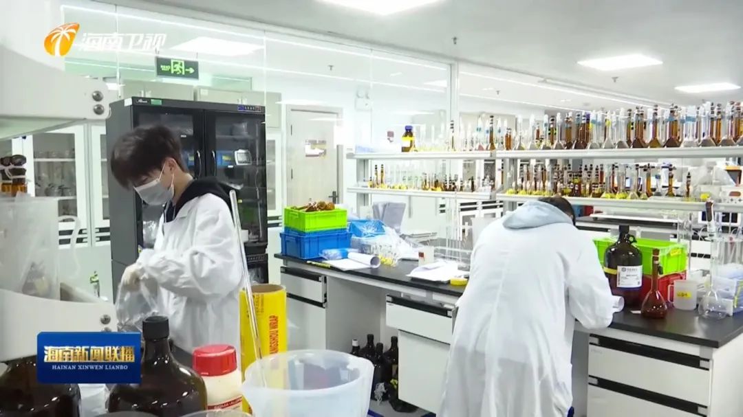 海南港澳开发区_琼港澳服务业合作示范园区_海南助力琼港澳台经济合作的新战略，推动地方经济发展革新
