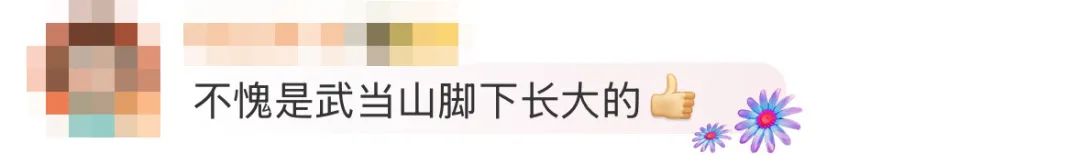 华晨宇个人资料_华晨宇_华晨宇和张碧晨目前关系