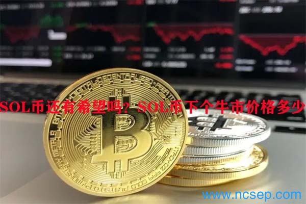 Solana今日价格及未来展望：SOL币还有希望吗？下个牛市价格预测