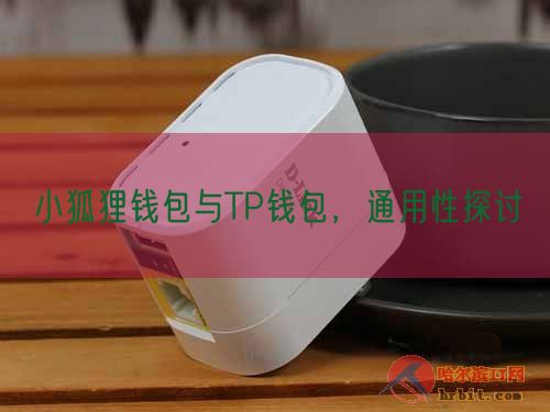 小狐狸钱包与TP钱包兼容性对比：数字货币时代如何选择最佳数字资产管理工具