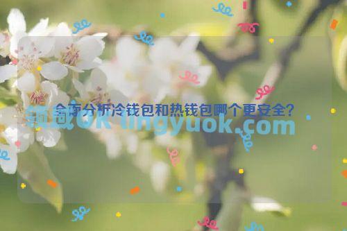 全面分析冷钱包和热钱包哪个更安全？
