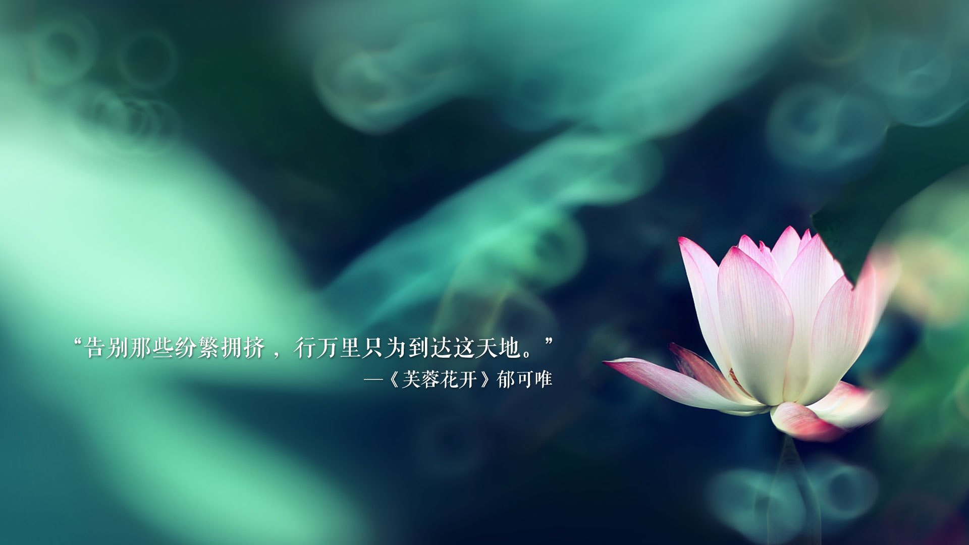 币圈“名人效应”又来了，特朗普家族支持的加密货币项目亮相